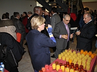 Association of Arab Universities (44)